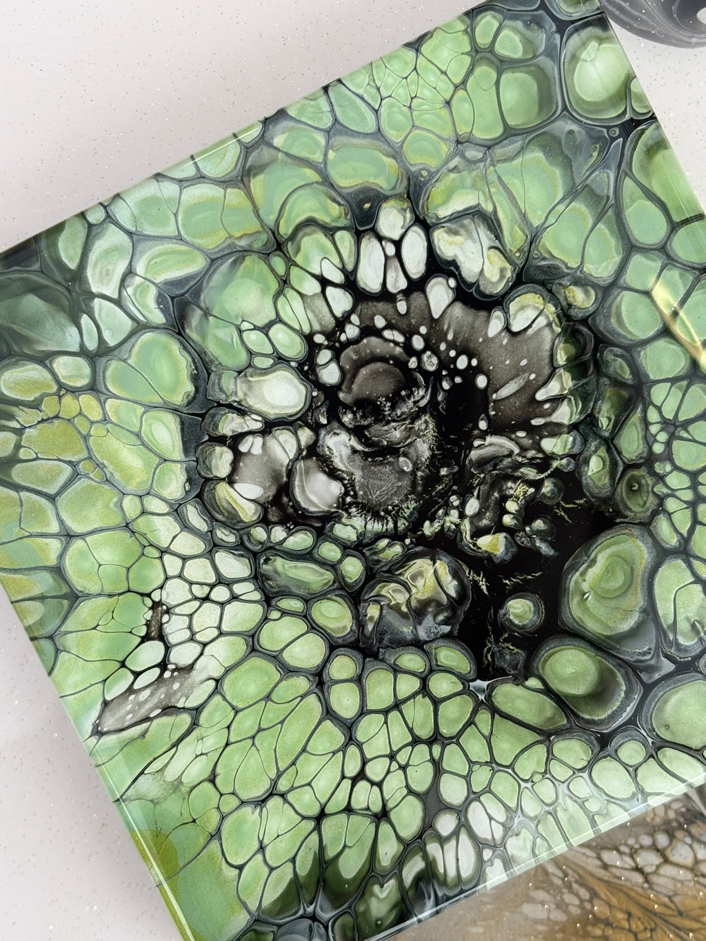 Coasters Sage Colourway